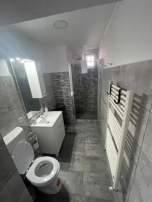 Lady M Apartment Sighisoara Exterior photo